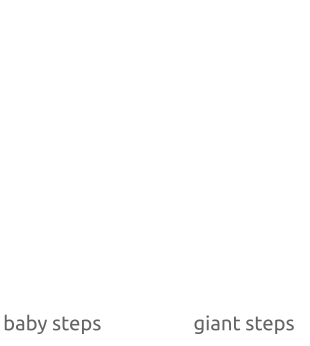 The baby-step, giant-step algorithm: initially we calculate few points via small steps and store them in a hash table. Then we perform the giant steps and compare the new points with the points in the hash table. Once a match is found, calculating the discrete logarithm is a matter of rearranging terms.